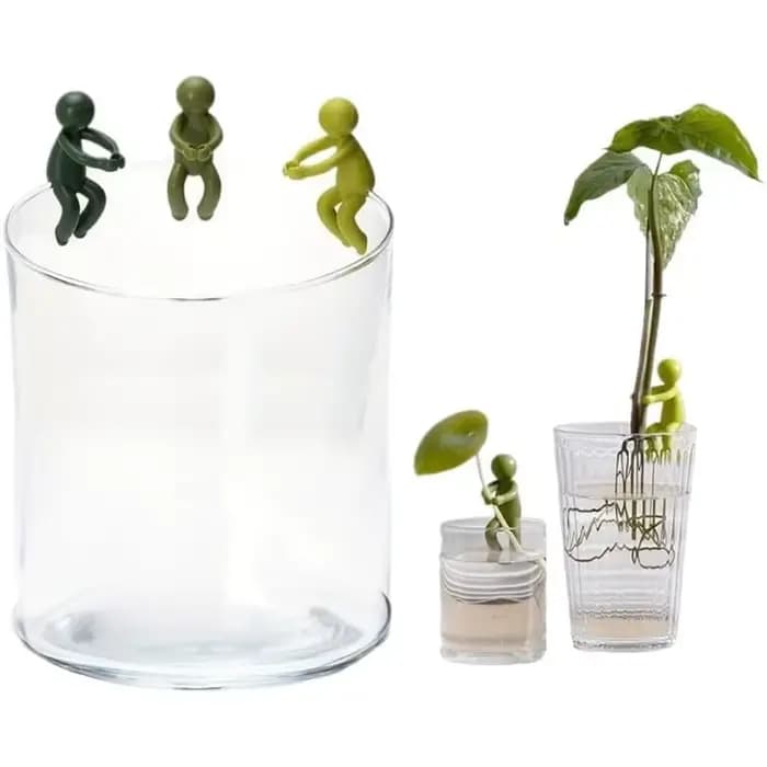 Support de propagation de plantes mignon