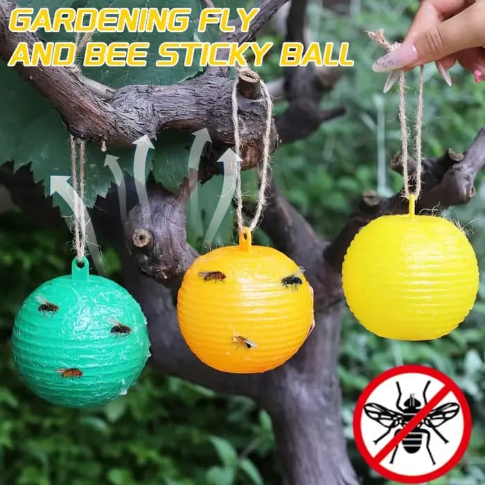 Pièges à insectes volants pour mouches des fruits