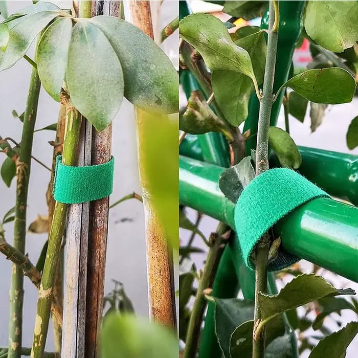 3 rouleaux de ficelle de jardin verte