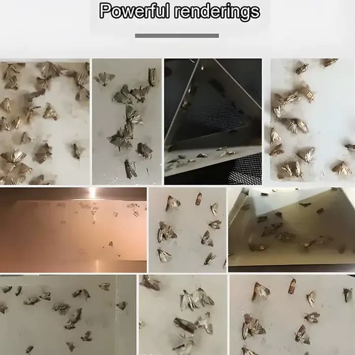 Pièges à papillons antiparasitaires