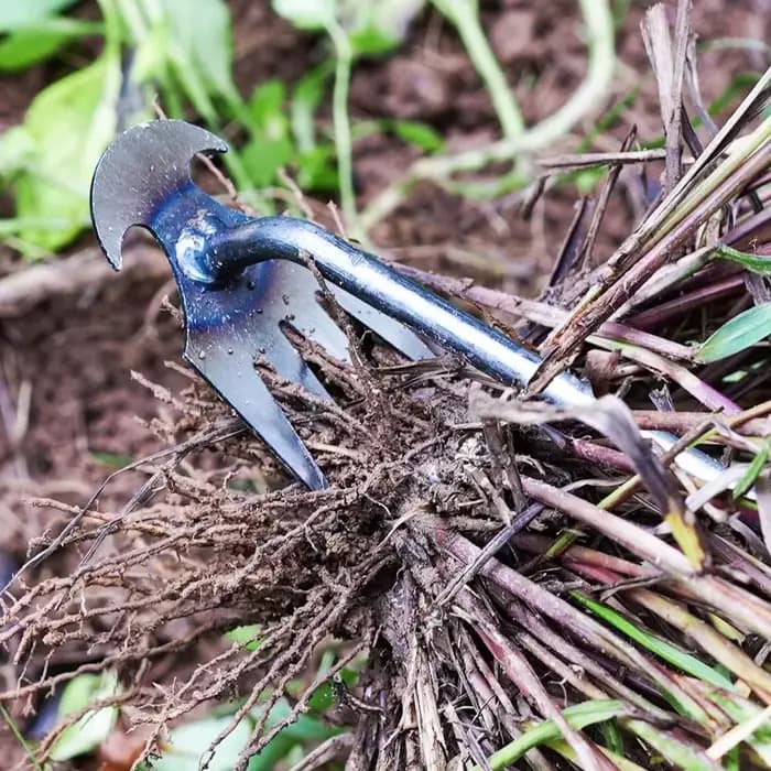 Désherbeur manuel multifonctionnel à 4 dents pour jardin