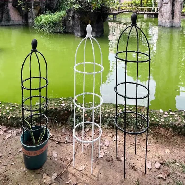 Obélisque de jardin en treillis pour plantes grimpantes