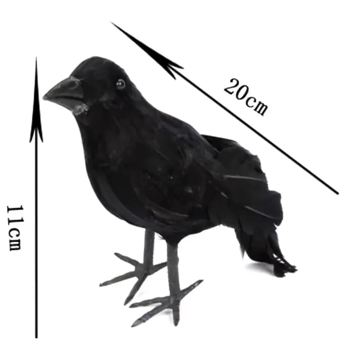 Simulation de corbeau noir