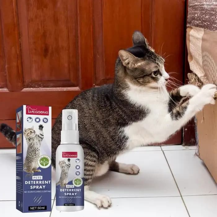 Spray anti-rayures pour chat