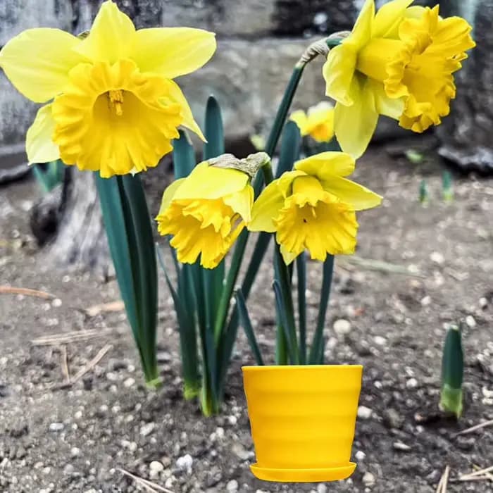 Pot de fleurs en plastique multicolore