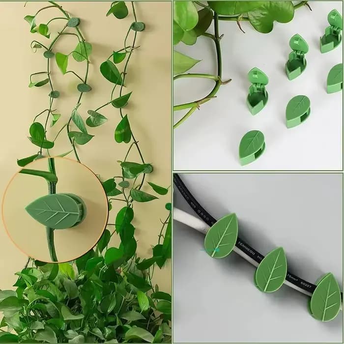 Support de Traction pour plantes de vigne