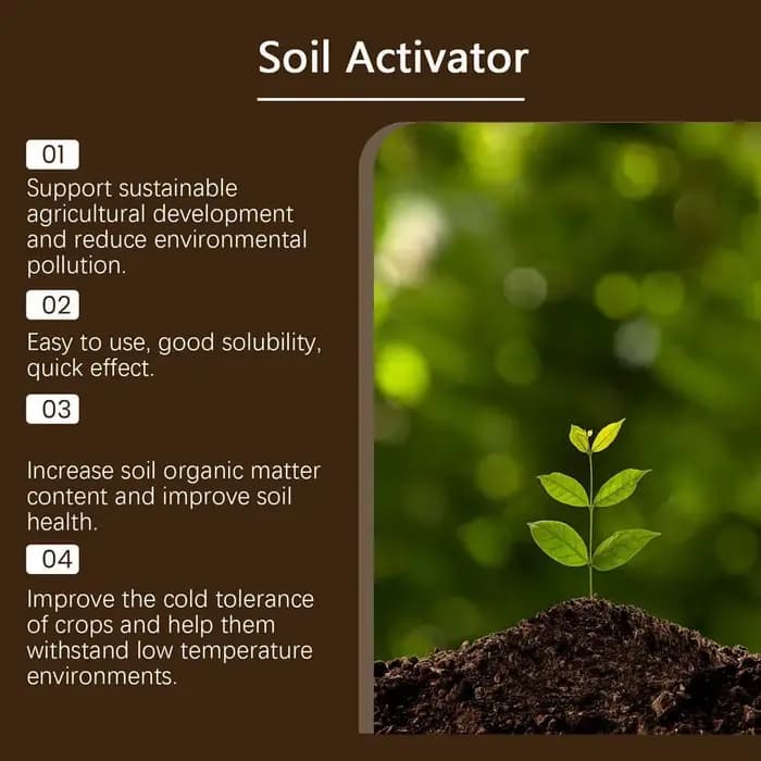 120g Revitalisant de sol