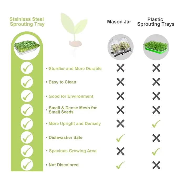 Plateau de germination de graines en croissance