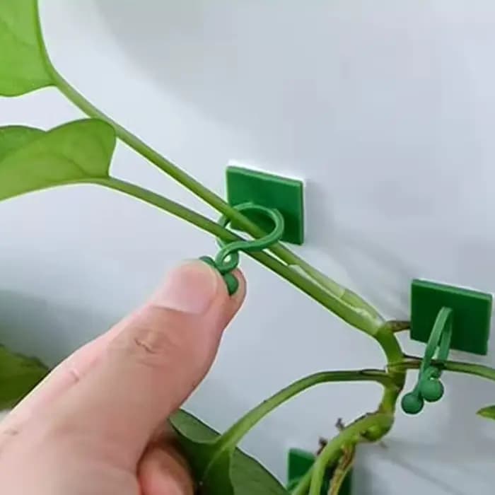 Support de Traction pour plantes de vigne