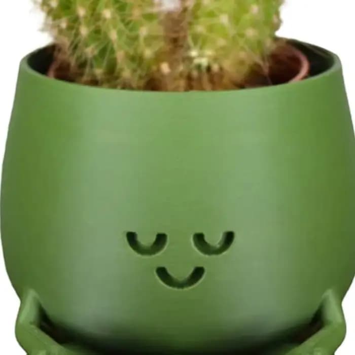 Pot de plante en résine avec visage souriant