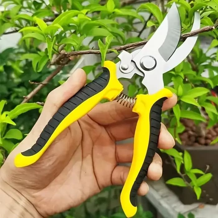 Outil de jardinage professionnel