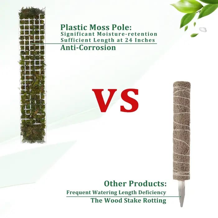 Support de plantes en plastique
