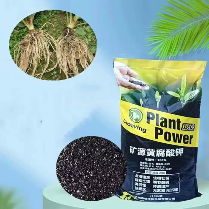 NapSource-Fulvate soluble dans l'eau pour le nettoyage du sol
