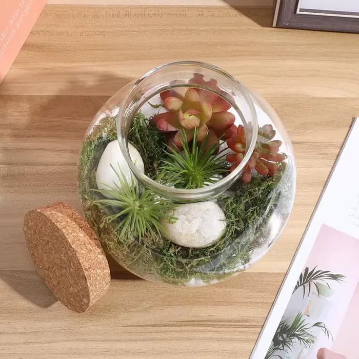 Terrarium en verre avec couvercle en liège