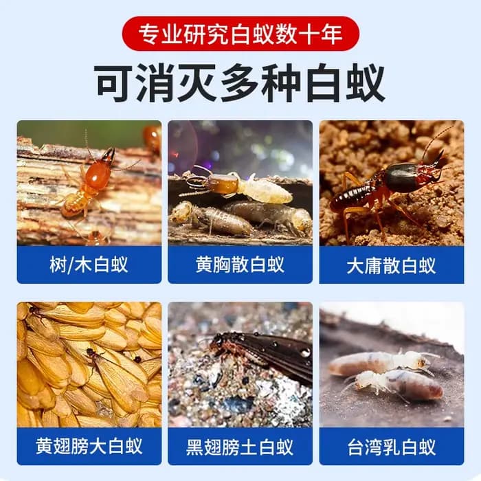 Appât insecticide Hexaflumuron contre les termites