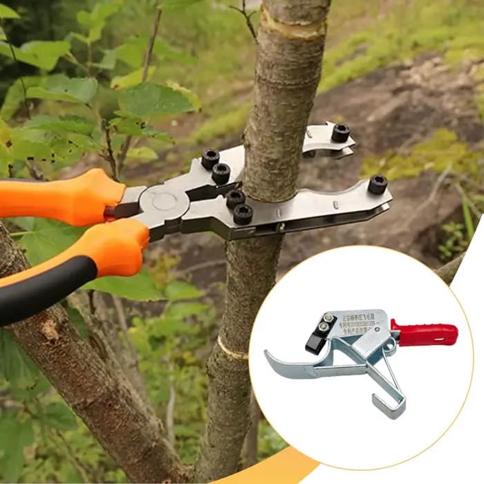 Outil de cerclage pour arbres fruitiers