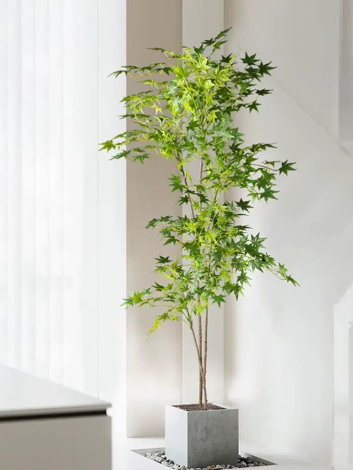 Fausses plantes japonaises artificielles en érable
