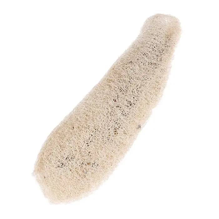 Luffa Loofah naturel non transformé