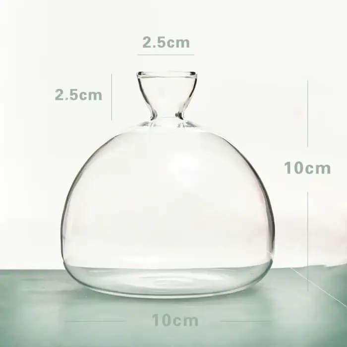 Vase hydroponique transparent pour les cadres