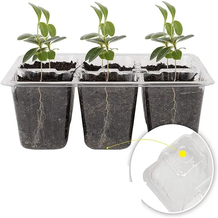 Pots de plantes en plastique à trous