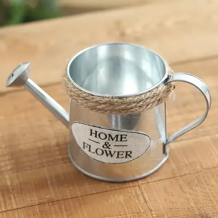 Petit arrosoir en fer, Pots seau en fer rétro pour fleurs