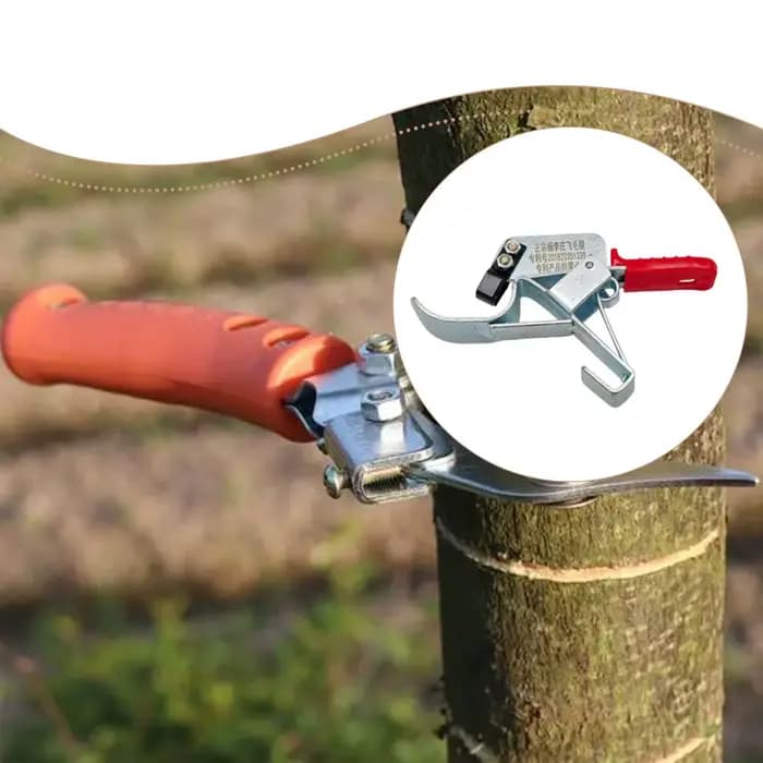Outil de cerclage pour arbres fruitiers