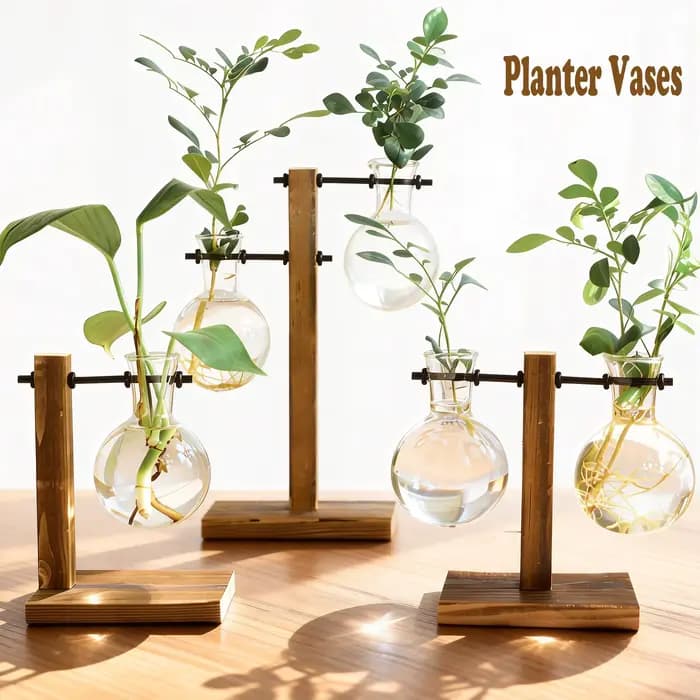 Terrarium de plantes hydroponiques