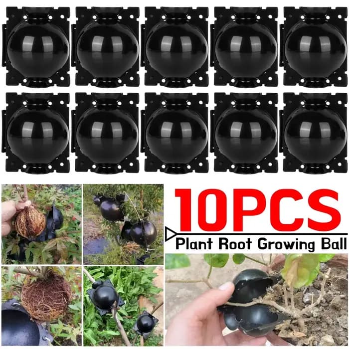 Boule de culture de racines de plantes réutilisables