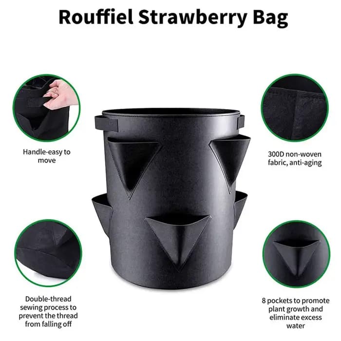 Sac de plantation de fraises de 7 gallons