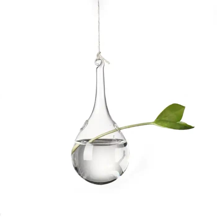 Vase à Boules de Verre pour Jardin Créatif