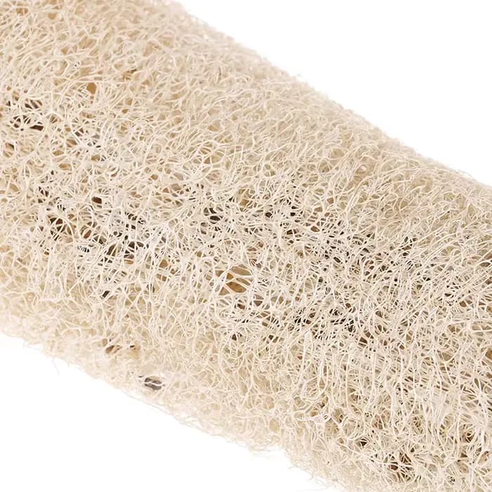 Luffa Loofah naturel non transformé