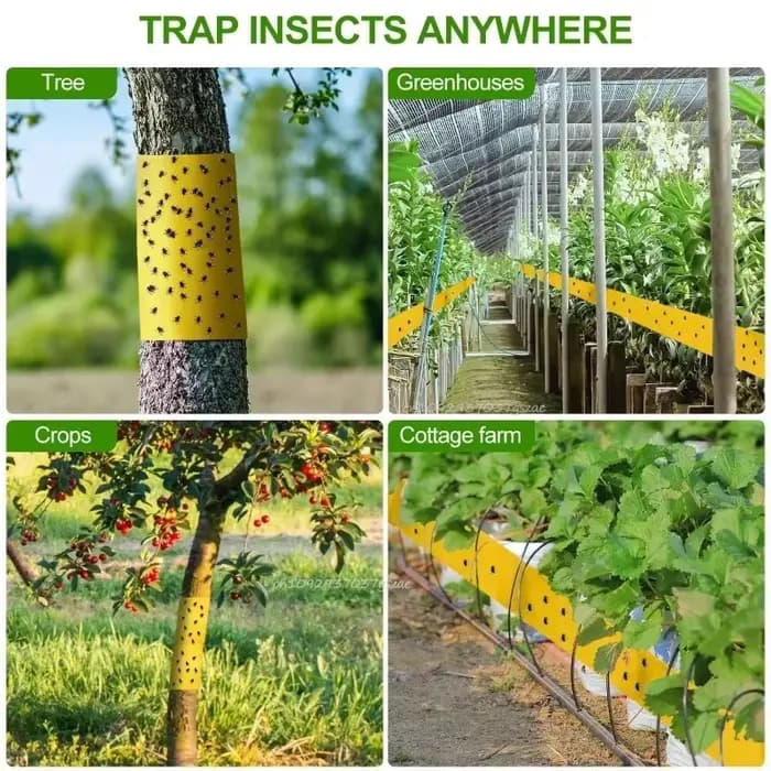 Piège à insectes extérieur pour frelons