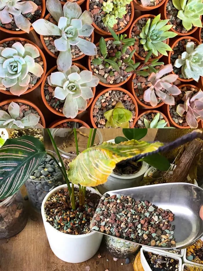 Mélange de galets de roche de lave horticole