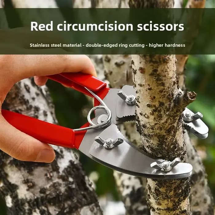Cisaille à écorcher les arbres fruitiers
