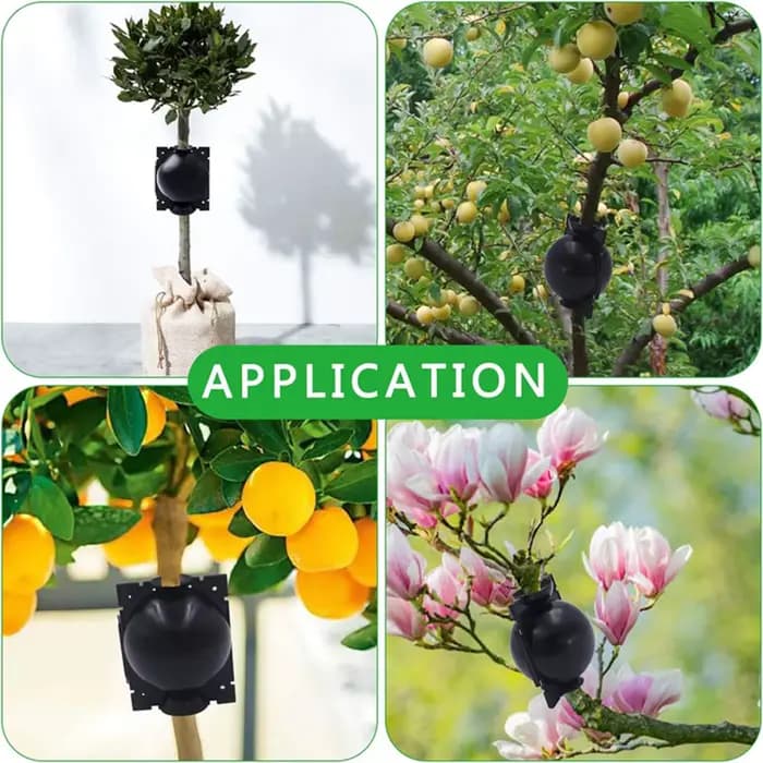 Boule d'enracinement de plantes