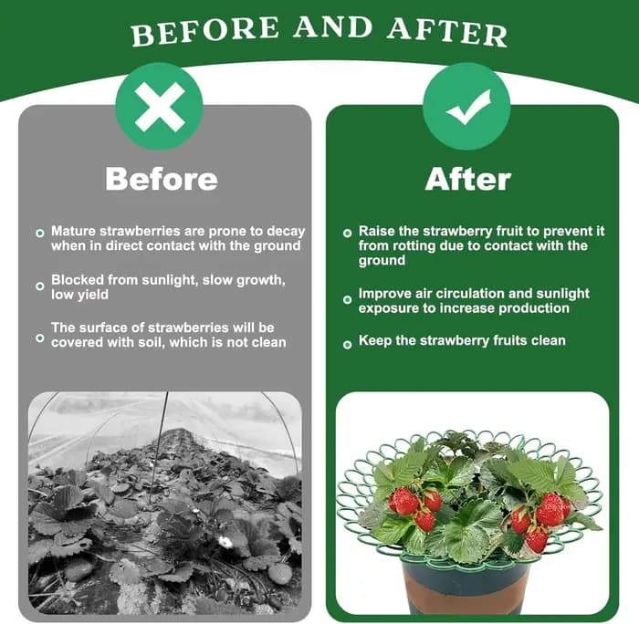 Support de fraises, fournitures agricoles