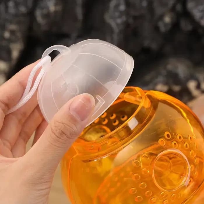 Piège à frelons et guêpes portable