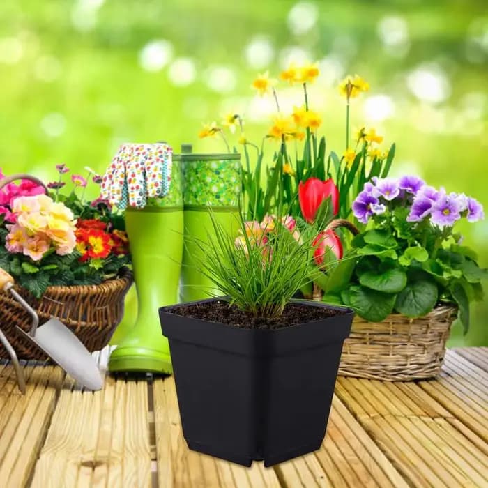 Pots de démarrage pour plantes de pépinière, 50 pièces, Pots de démarrage pour graines, conteneur de plantes à fleurs en plastique, gobelets de semis carrés noirs