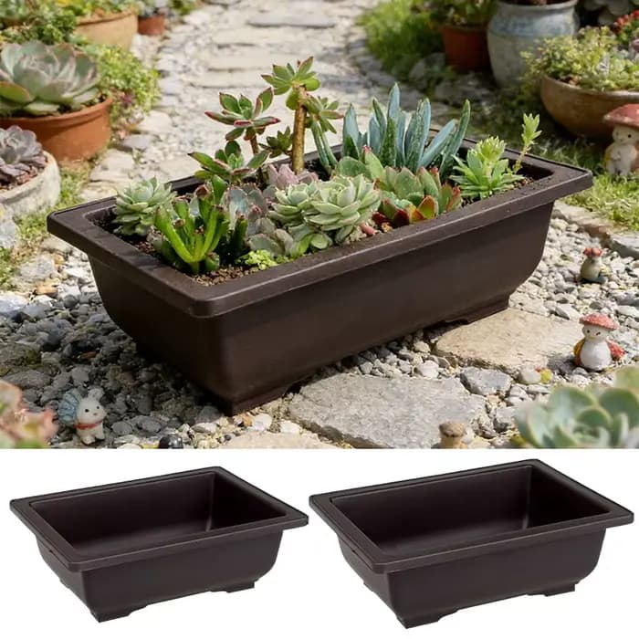 Pots à Bonsaï Rectangulaires pour Plantes Grasses