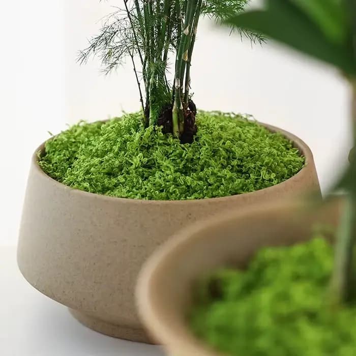 Micro Simulation de fausse mousse verte