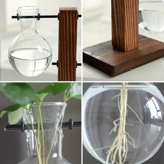 Vase en verre hydroponique