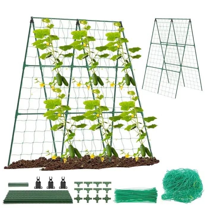 Treillis de concombre, cadre A pour légumes de jardin