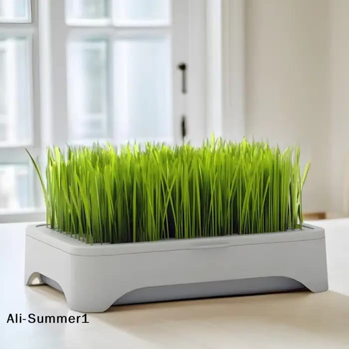 【E】Pot de culture hydroponique pour herbe à chat