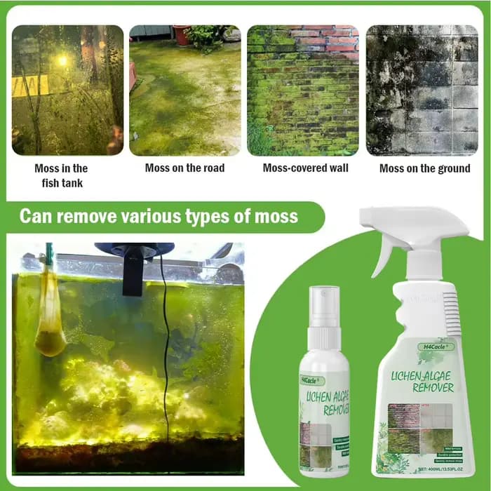 Spray pour éliminer les algues du mousse et du Lichen