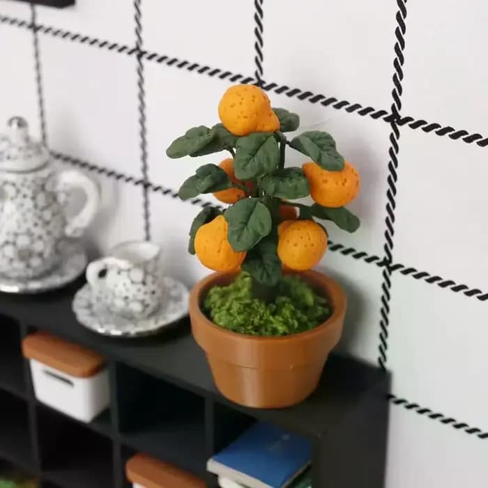 Miniature d'oranger en pot
