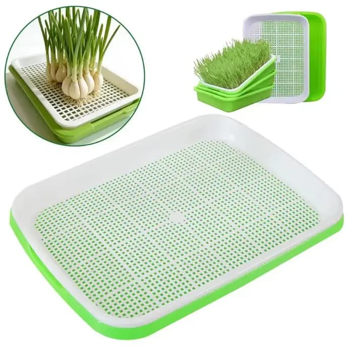 Bac de germination pour semis sans terre
