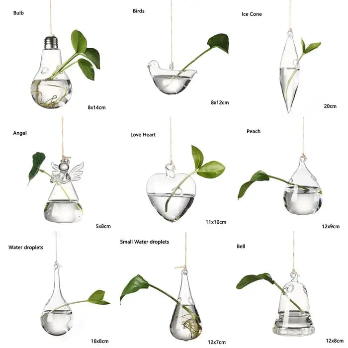 Vase à Boules de Verre pour Jardin Créatif