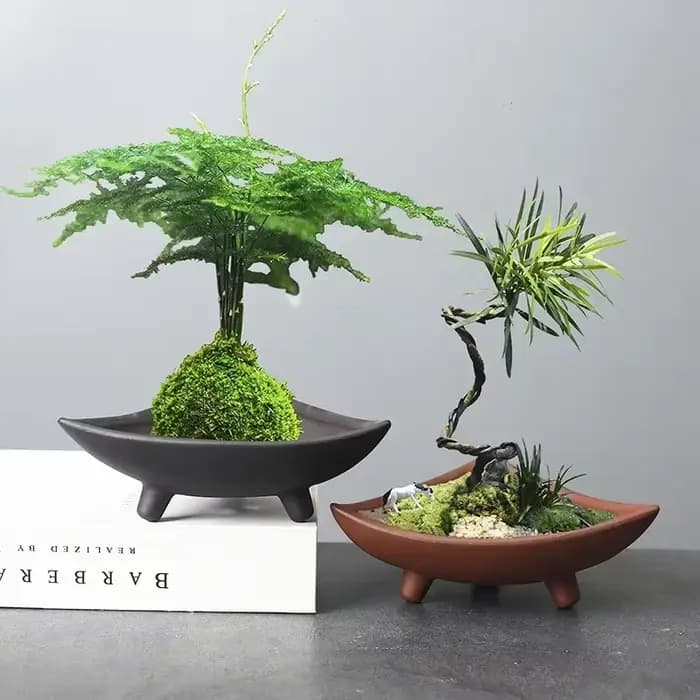 Pots de fleurs en céramique pour bambou