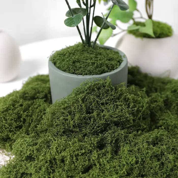 30/50/100g plantes vertes artificielles mousse herbe maison salon jardin décoration Mini paysage fausse fleur bricolage artisanat