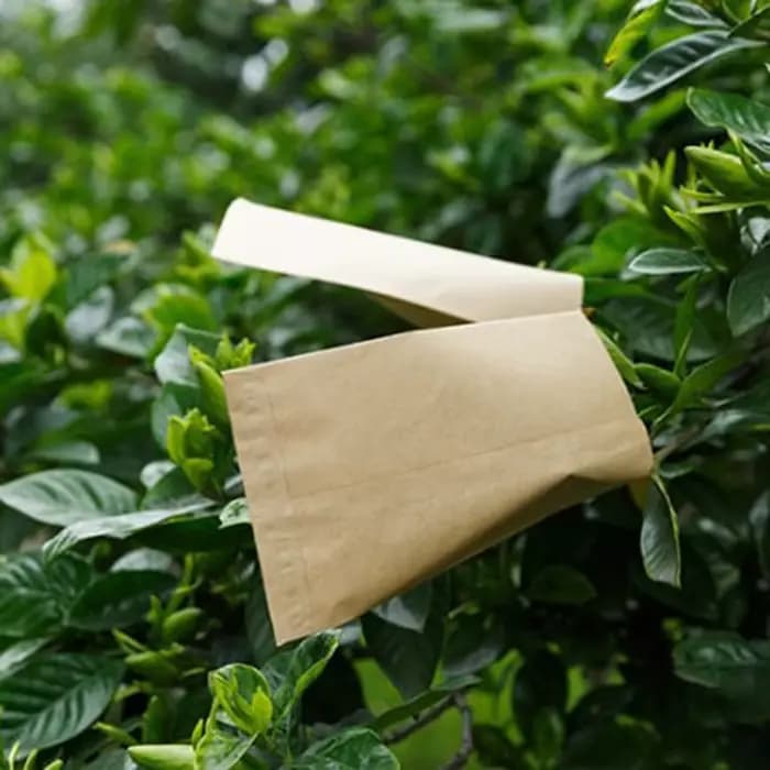 Enveloppes de protection en papier kraft